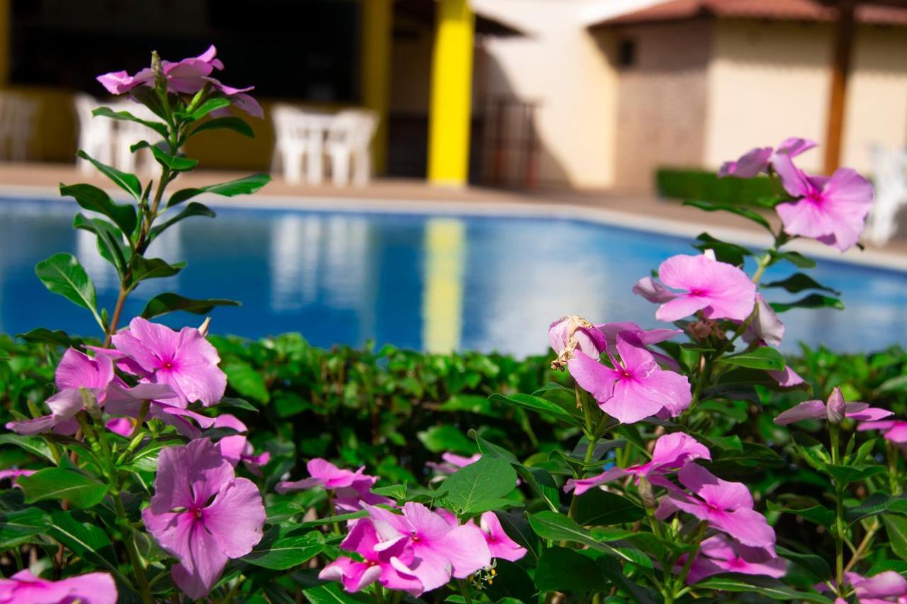 Deluxe Suites Guacamayos - Eco-Lodge & Swimming Pool Bonao Ngoại thất bức ảnh