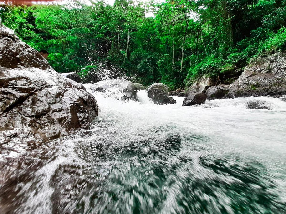 Deluxe Suites Guacamayos - Eco-Lodge & Swimming Pool Bonao Ngoại thất bức ảnh