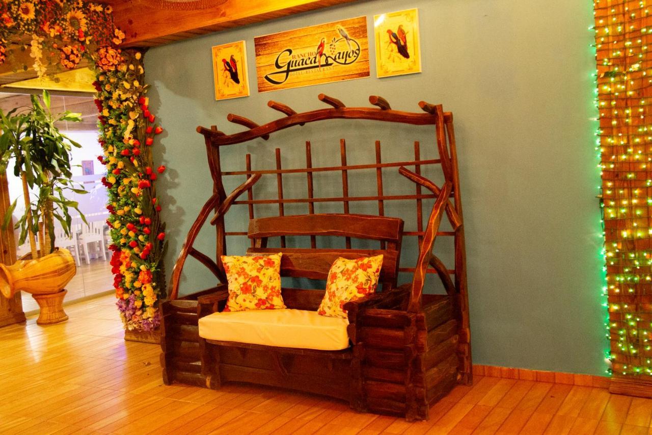Deluxe Suites Guacamayos - Eco-Lodge & Swimming Pool Bonao Ngoại thất bức ảnh